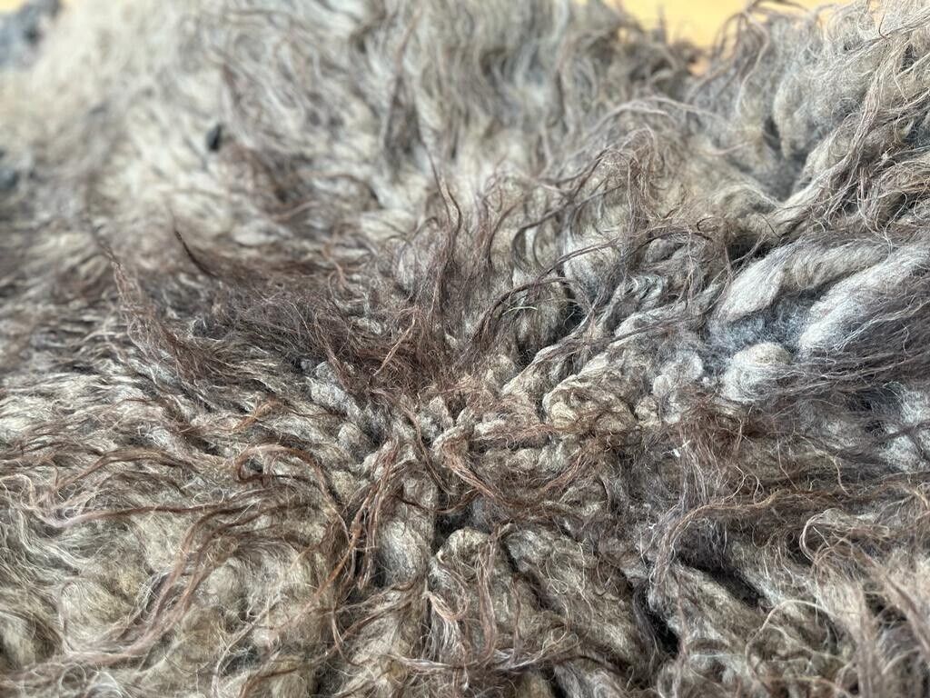 Jacob, Hebridean, & Ryeland Raw Wool Fleece for Spinning, Felting, Weaving, Nest