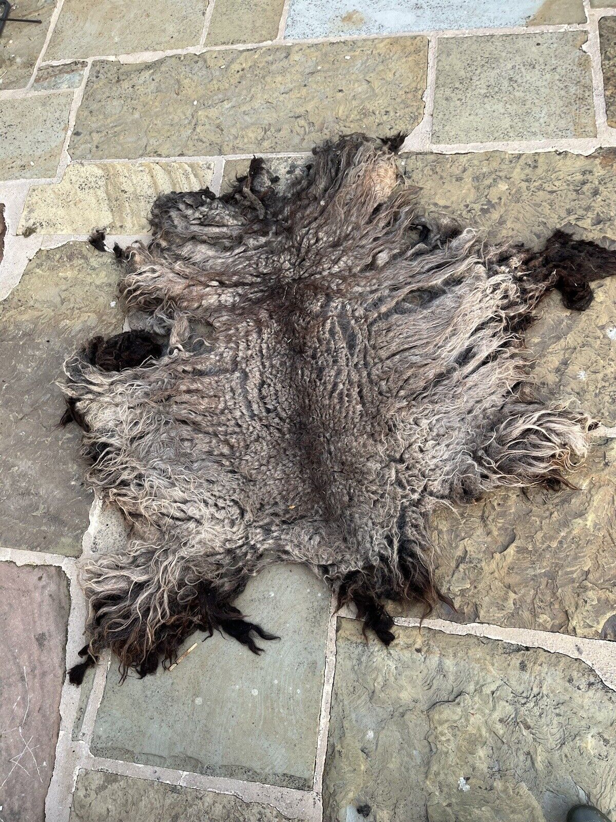 Hebridean Sheep Full Raw Fleece Spinning Felting Roving