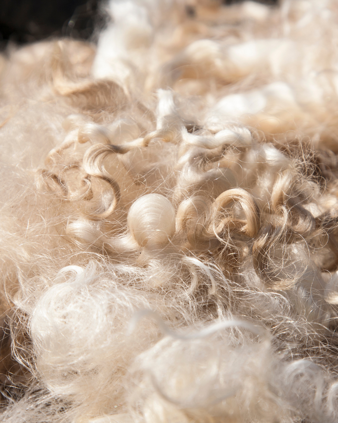 Fleece & Wool Products – White Peak Living