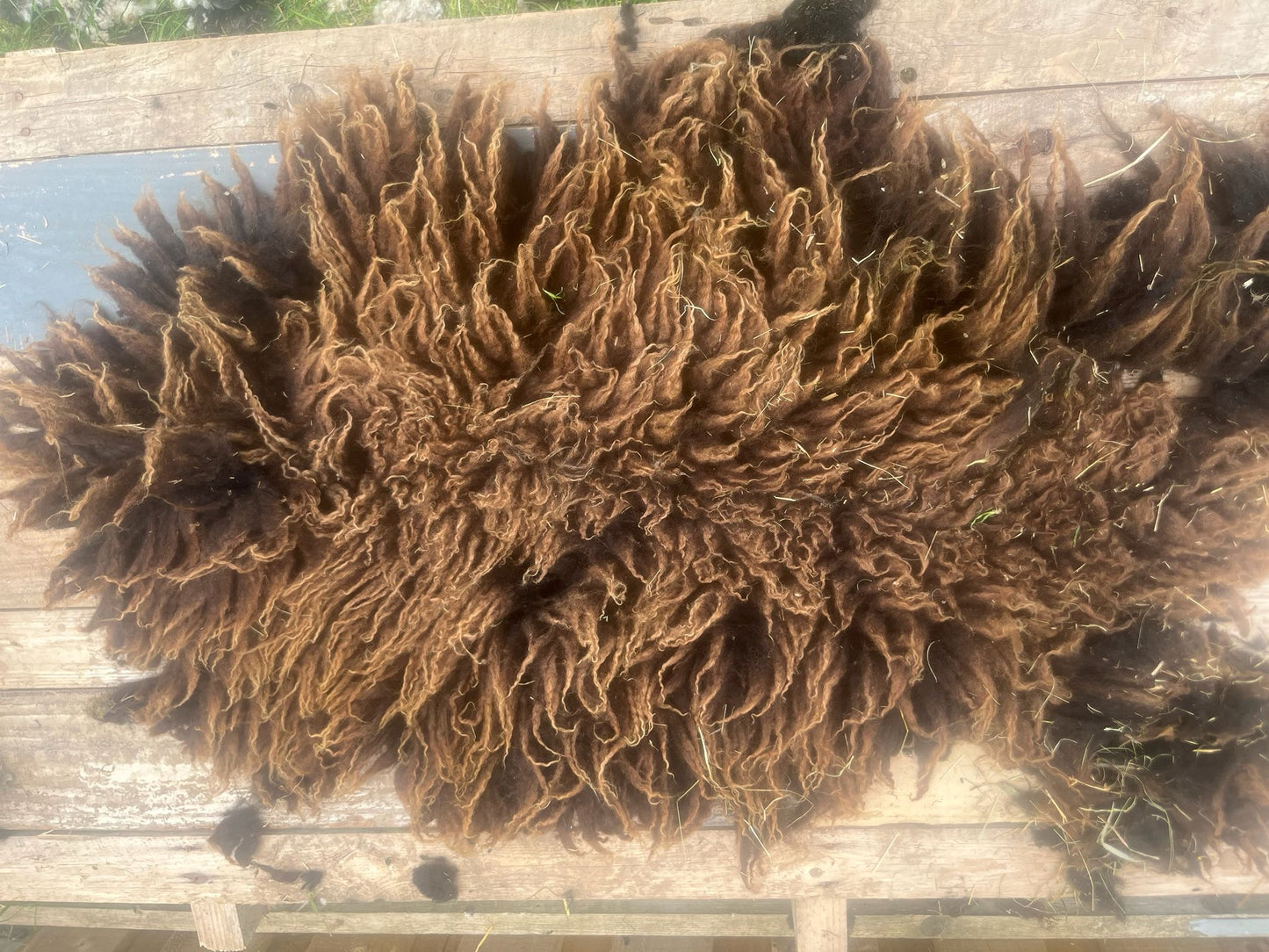 Hebridean Sheep Full Raw Fleece Spinning Felting Roving