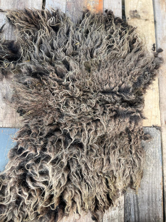 Hebridean Sheep Full Raw Fleece Spinning Felting Roving