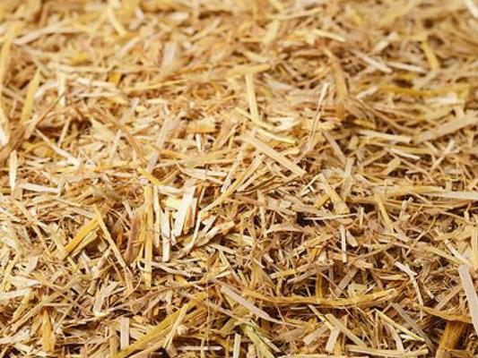 Bedding Straw for Animal Bedding