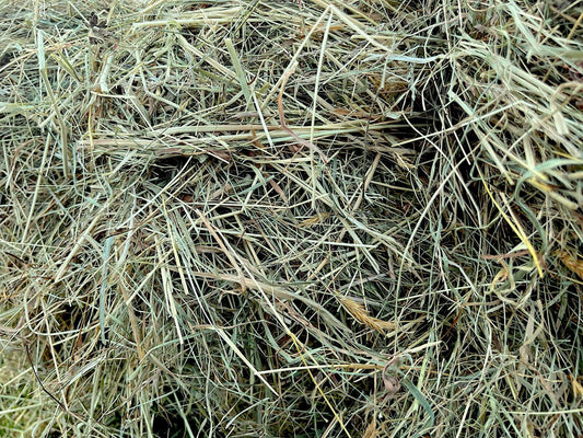Wool Hay Hay Subscriptions & Wool Gifts from the Peak District – White Peak Living