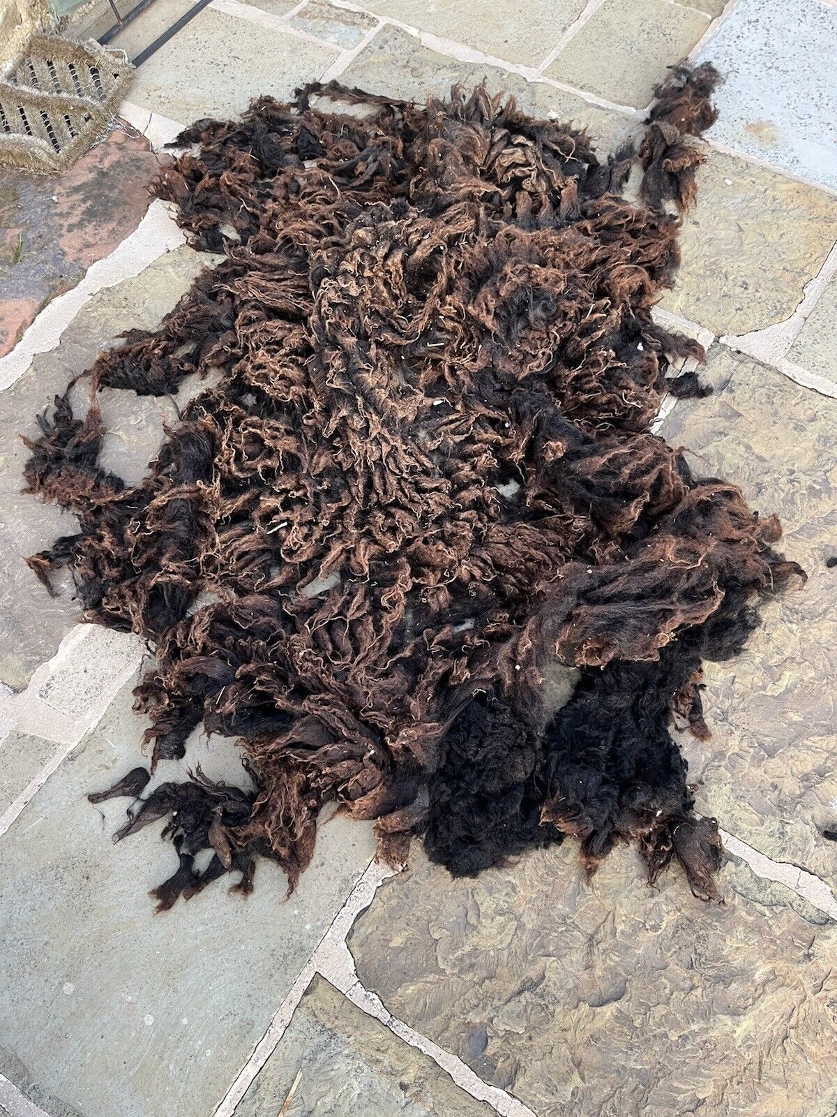 Hebridean Sheep Full Raw Fleece Spinning Felting Roving