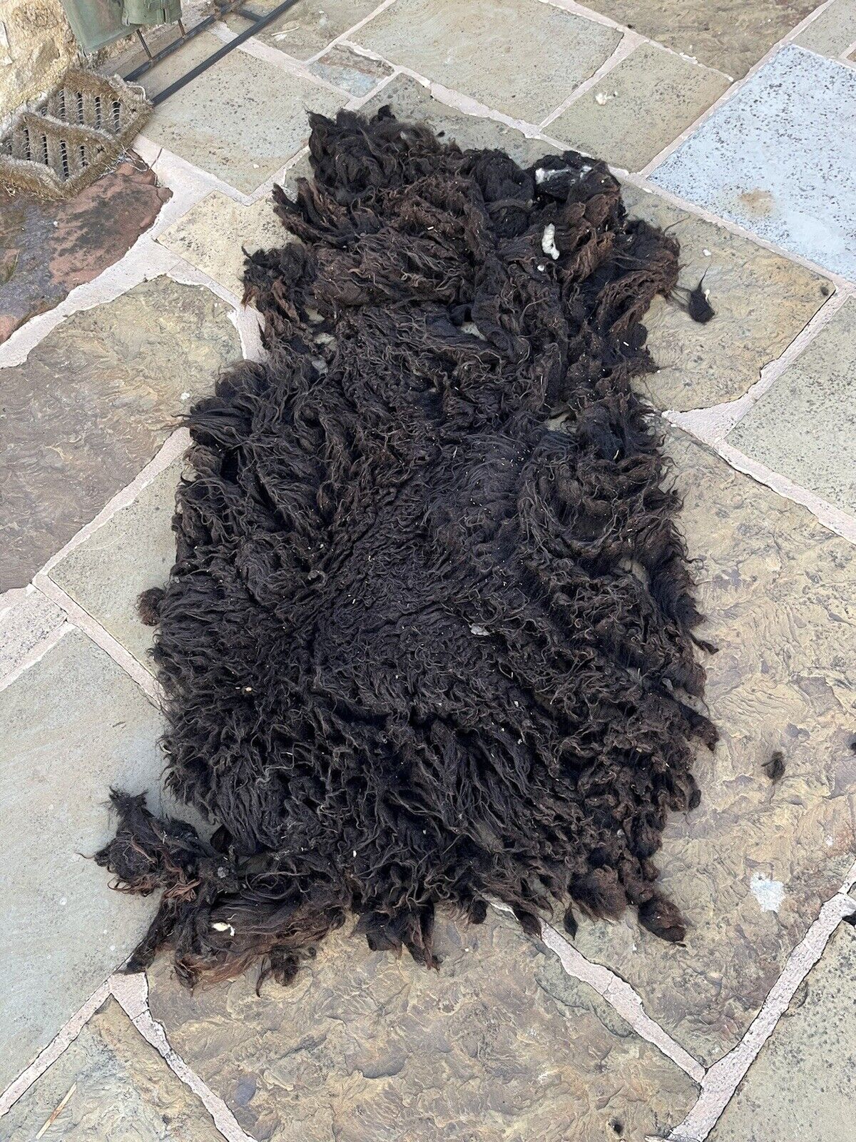 Hebridean Sheep Full Raw Fleece Spinning Felting Roving